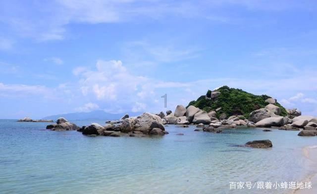 “宠”爱有方，杨浦这里发起文明养宠计划丨爱申活 暖心春